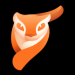 Pixaloop Pro Logo