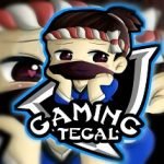 Gaming Tegal Injector icon
