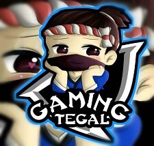 Gaming Tegal Injector icon