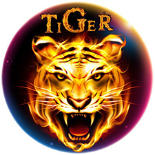 Tiger Mod Icon
