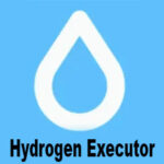 Hydrogen Executor Icon