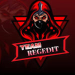 Team Regedit Icon